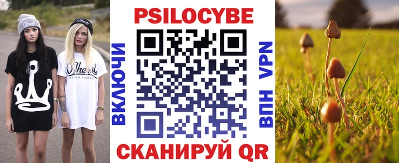 гидра зеркало  Малаховка  Галлюциногенные грибы мицелий 